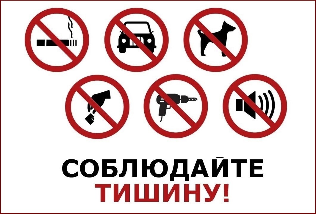 В Ульяновской области внесли изменения в «закон о тишине».