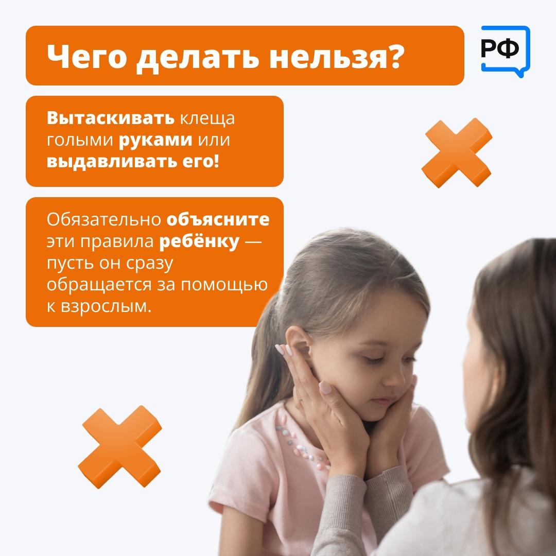 В России проснулись клещи..