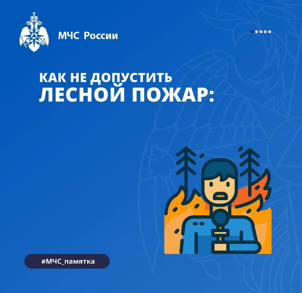 Как не допустить лесной пожар?.