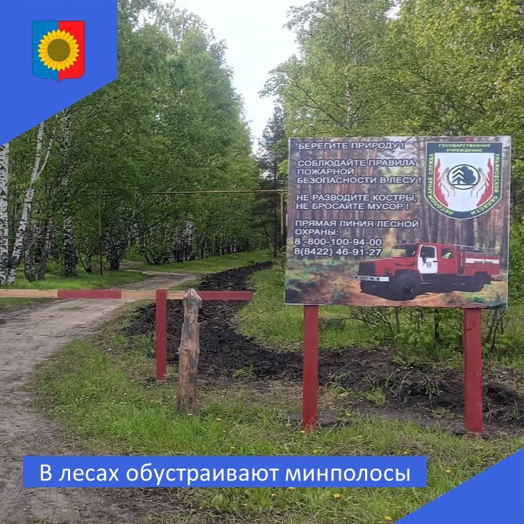 В лесах обустраивают минполосы.
