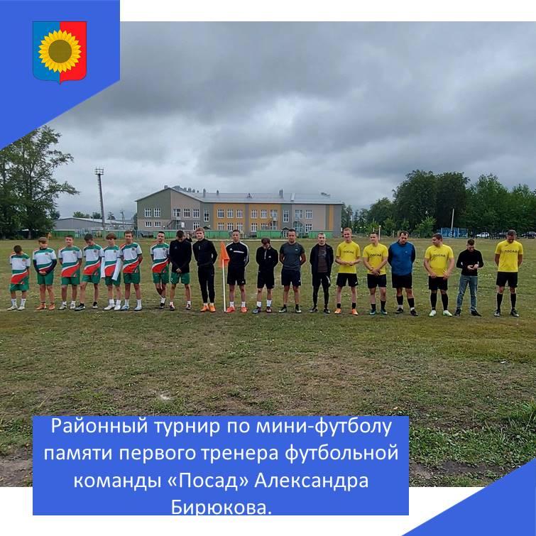 Районный турнир по мини-футболу.