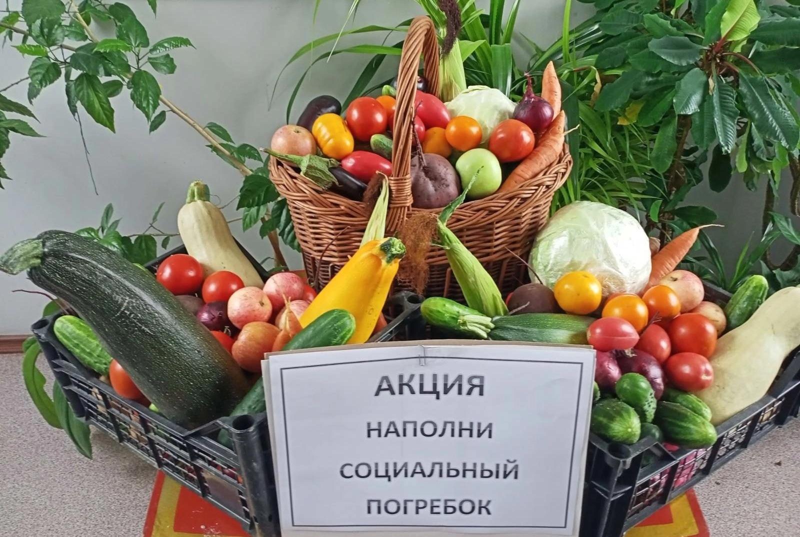 Акция «Наполни социальный погребок».